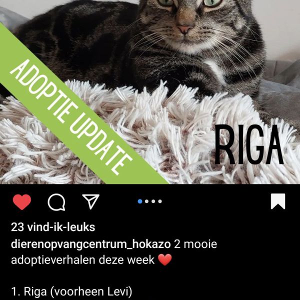 Riga