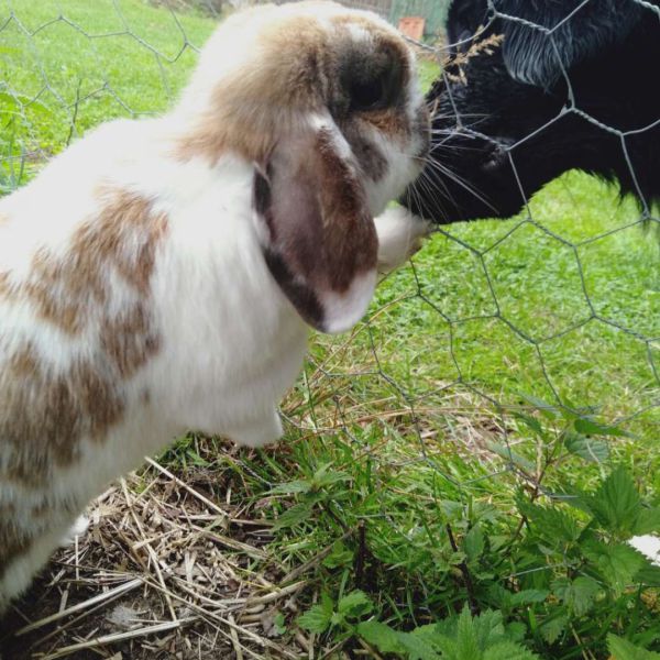 Snow samen met Polly