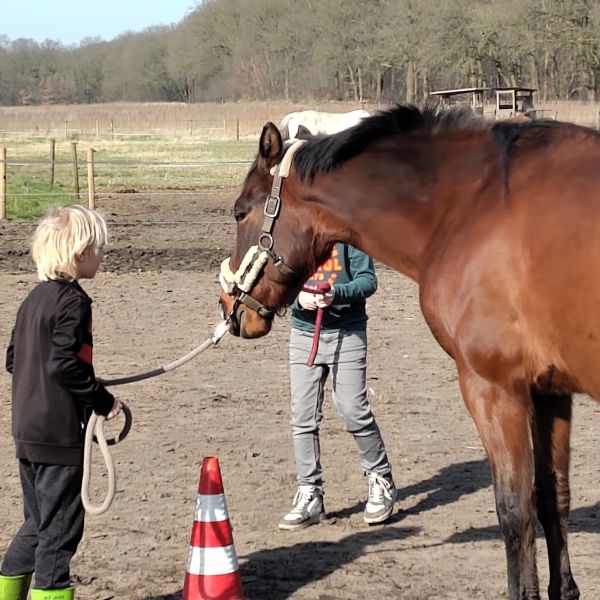 Huisdierenoppas Brenda uit Nijmegen