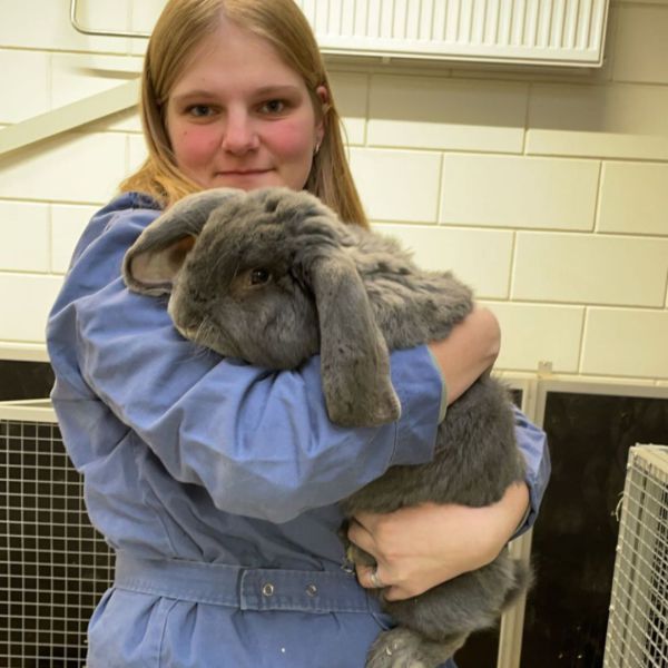 Huisdierenoppas Mayke uit Molenhoek