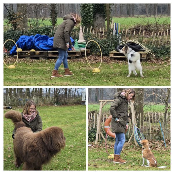 Huisdierenoppas Merel uit Scharendijke