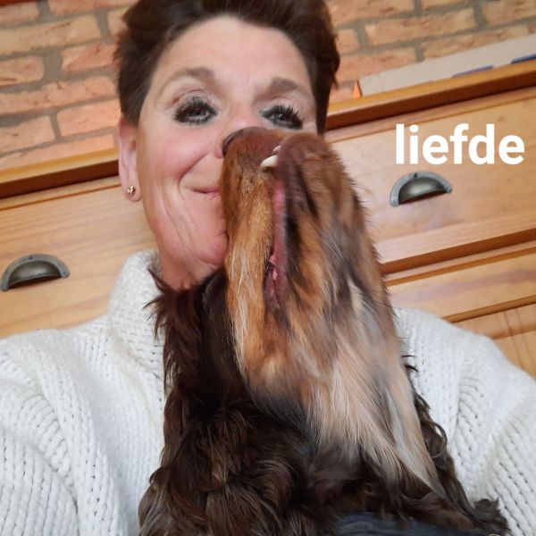 Hondenoppas Liesbeth uit Voorhout
