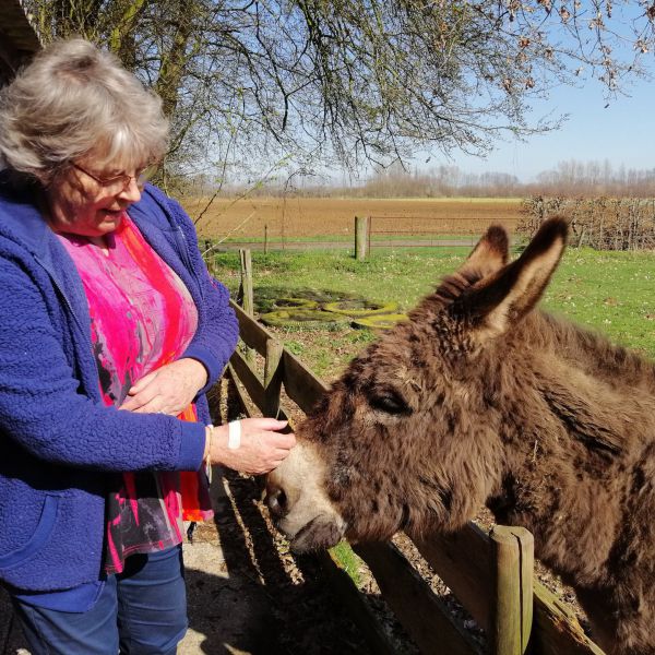 Hondenoppas I.P.I. uit Raalte