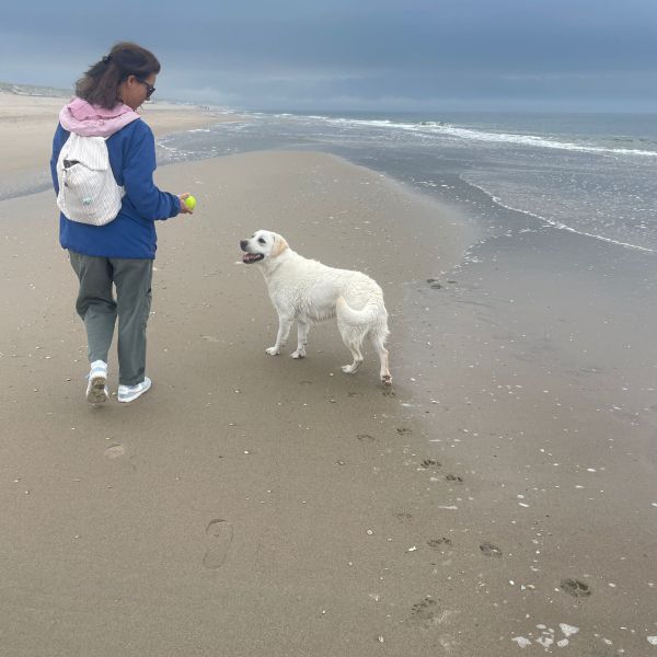 Huisdierenoppas Margriet uit 'S-Gravenhage