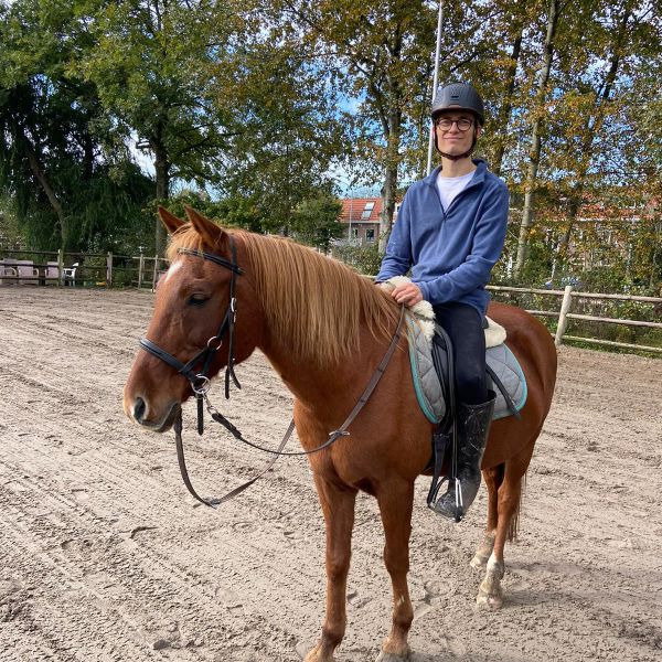 Huisdierenoppas meindert uit Bentveld