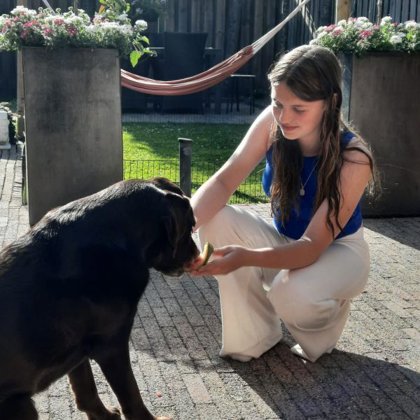 Huisdierenoppas Tessa uit Oud Gastel