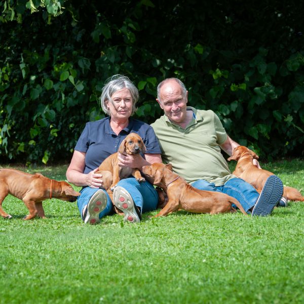 RR uit Esbeek zoekt een Hondenoppas