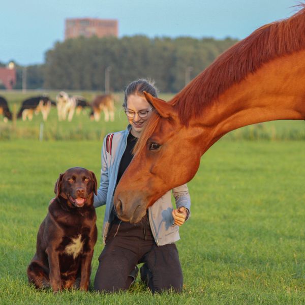 Huisdierenoppas Rianne uit Berkhout