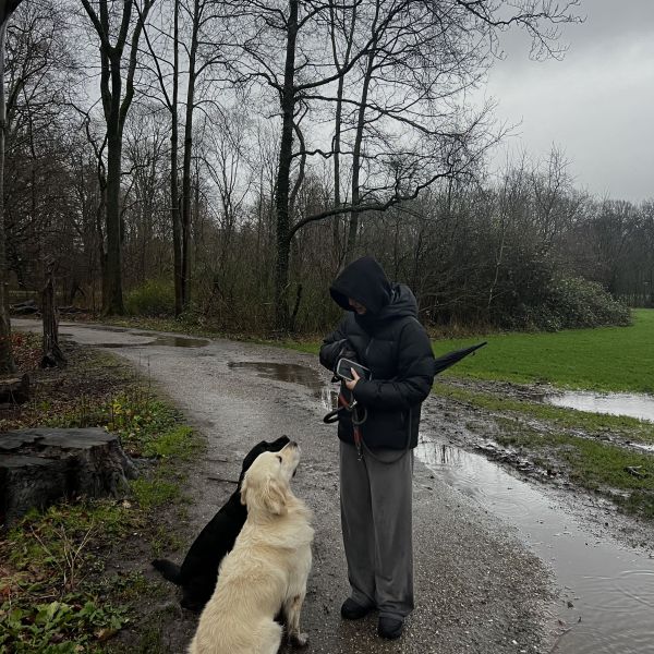 Hondenoppas Jiska uit Amsterdam