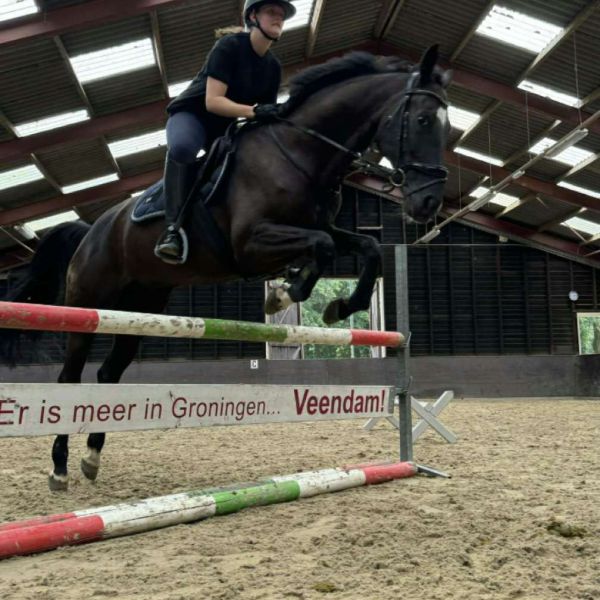 Huisdierenoppas Femke uit Veendam