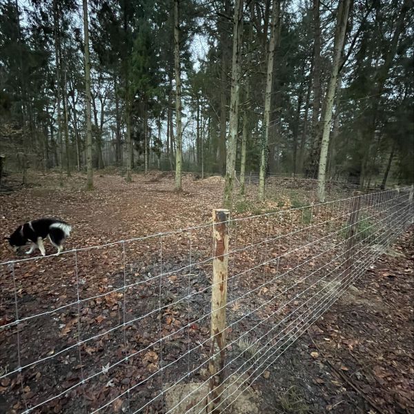 Hondenoppas Natasja uit Vaassen