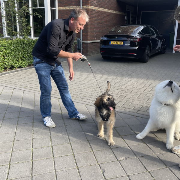 Hondenoppas bob uit Veenendaal